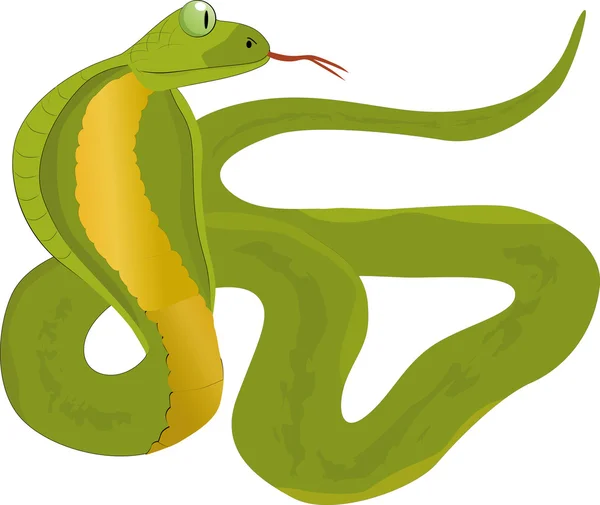 Cartoon snake — Stock Vector © dedMazay #13907142