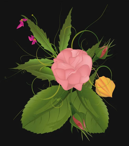 Ramo de una rosa — Archivo Imágenes Vectoriales