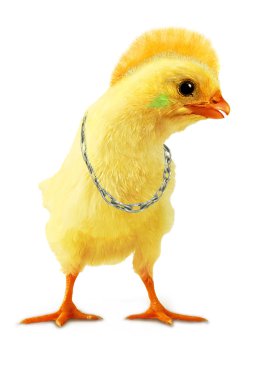 Chicken punk clipart