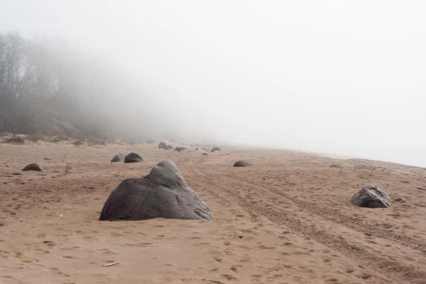 Niebla en la playa —  Fotos de Stock