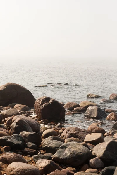 Камені на пляжі Стокова Картинка