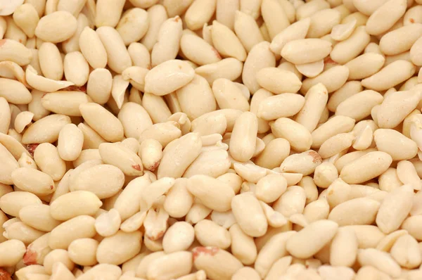 stock image Peanut