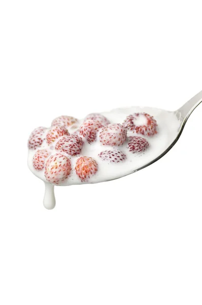 Erdbeere mit Sahne — Stockfoto
