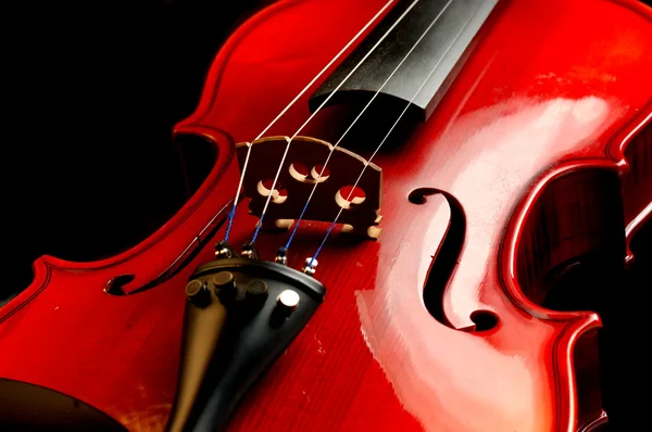 stock image Violin