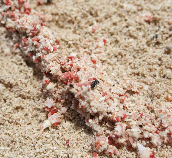 stock image Rose-coloured sand on the beach