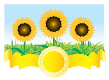 Beautiful vector sunflower background clipart