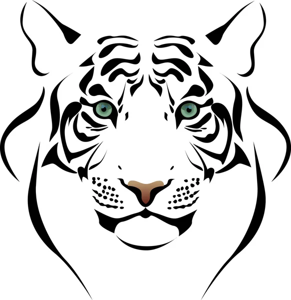 Głowa tygrysa — Wektor stockowy