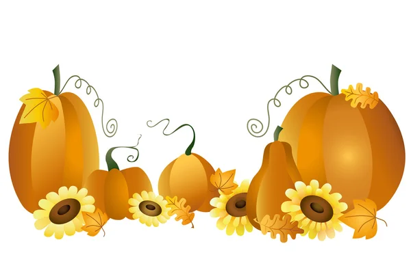 Autumn pumpkins — Stock Vector