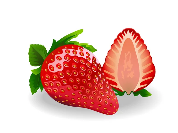 Φράουλα — Διανυσματικό Αρχείο