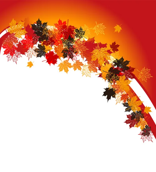 Cadre d'automne : feuille d'érable. Place pour votre — Image vectorielle