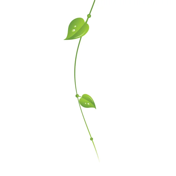 Våren. gröna linjen — Stock vektor