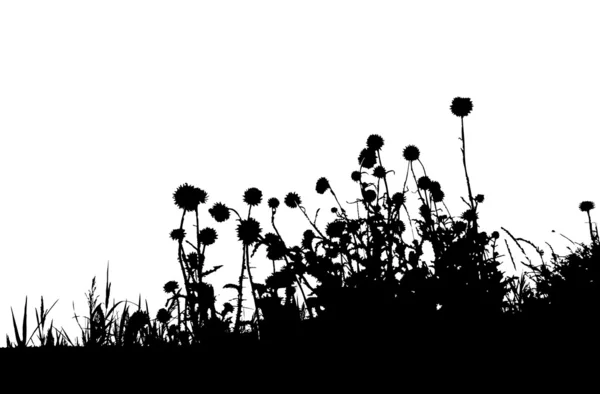Silhouette en herbe noir — Image vectorielle