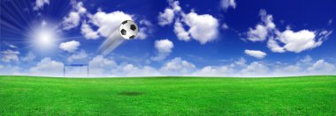 çayır üzerinde futbol topu