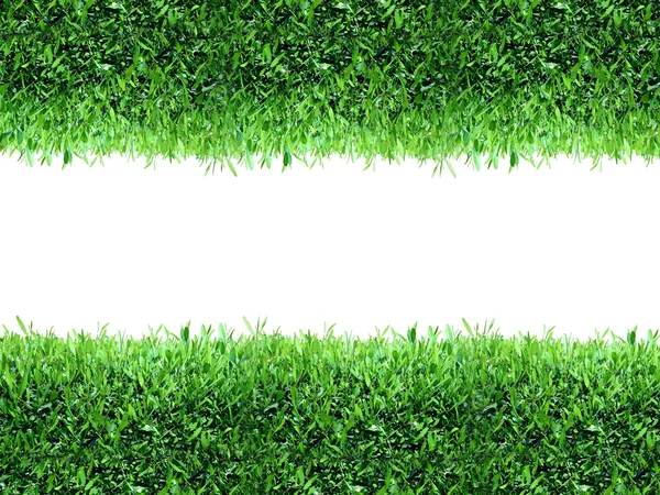 Våren, gröna gräs bakgrund — Stockfoto