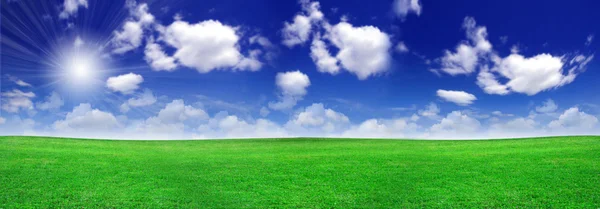 Green field beautiful — Stock Photo, Image