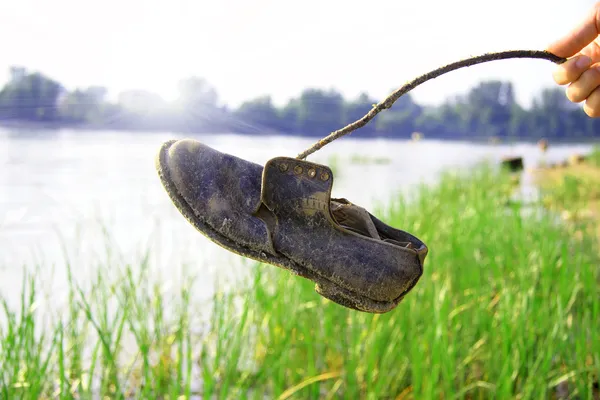 stock image Funny fishing