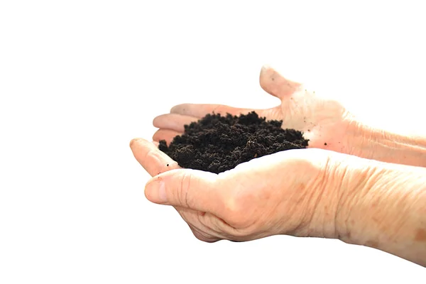 stock image Soil black in hand