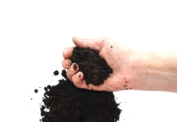 A kezében a fekete talaj — Stock Fotó