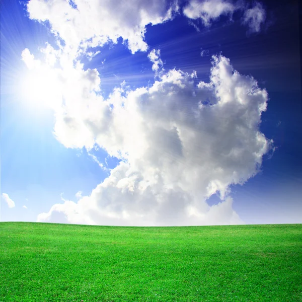 Green field beautiful — Stock Photo, Image