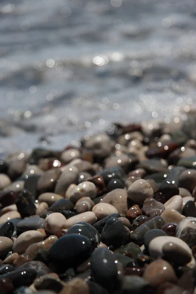 Wet pebbles on sea coast — ストック写真