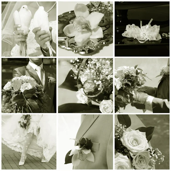 Svatební koláž — Stock fotografie