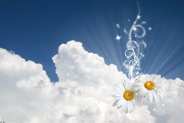 Blommig himmel bakgrund — Stockfoto
