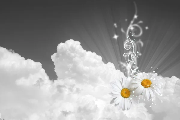 Na tle nieba kwiatowy — Zdjęcie stockowe