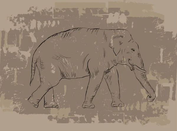Σκίτσο του ελέφαντα σε φόντο grunge — Φωτογραφία Αρχείου