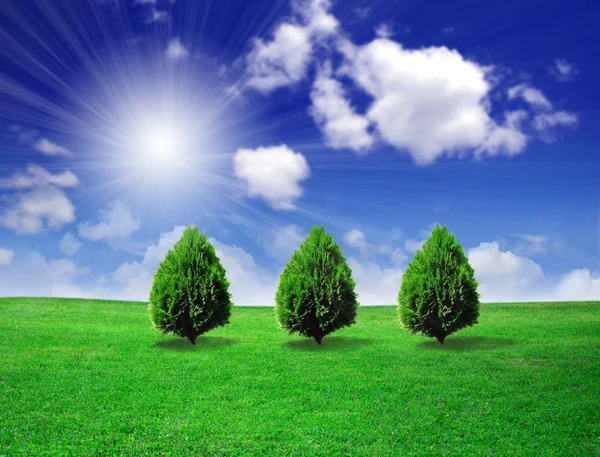 Träd på gröna fält — Stockfoto