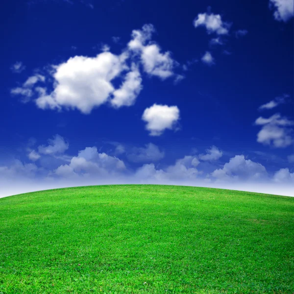 Зеленое поле красиво — стоковое фото