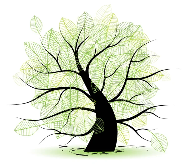 Grande árvore velha, folha verde — Vetor de Stock