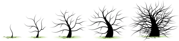 Stadier av träd — Stock vektor