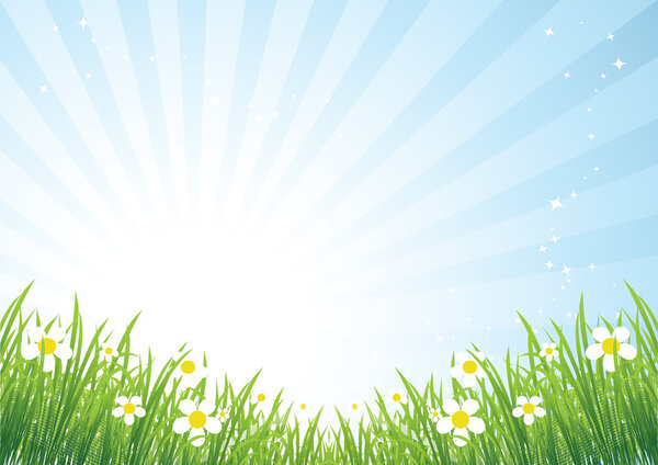 Spring meadow beautiful