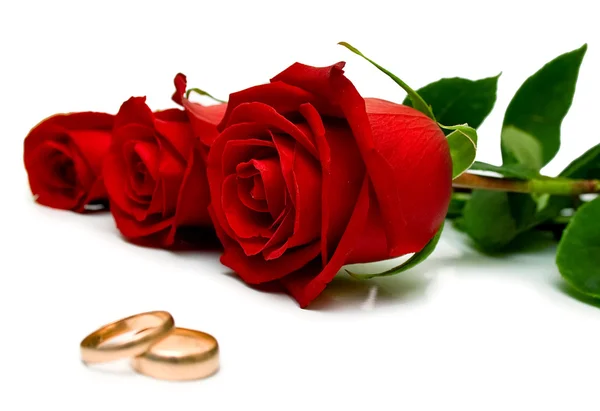 Anéis de casamento e rosas vermelhas — Fotografia de Stock