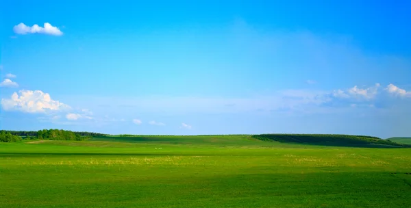 Grünes Feld und blauer bewölkter Himmel — Stockfoto