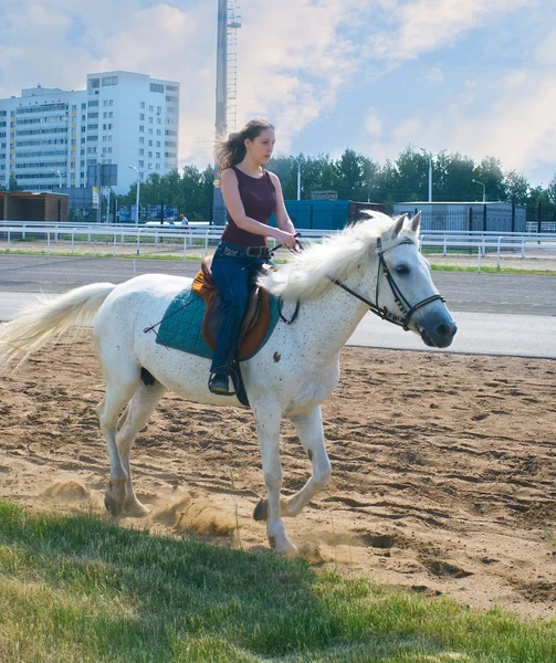 Chica a horcajadas un caballo en un hipódromo — Foto de Stock