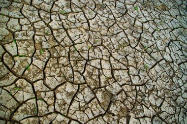 Dried up cracked earth clipart