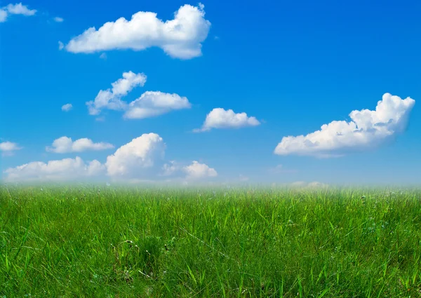Letní krajina s oblačnou oblohou — Stock fotografie