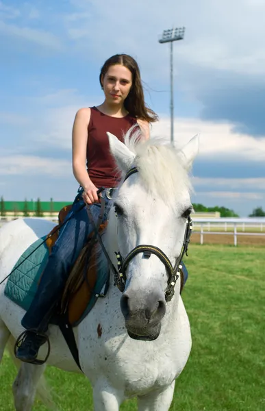 Flicka grensle en häst mot blå himmel — Stockfoto