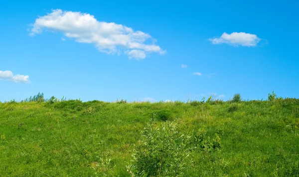 Gras und blauer bewölkter Himmel — Stockfoto