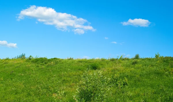 Herbe et ciel nuageux bleu — Photo