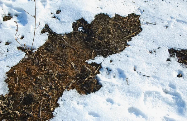 Textura de neve e terra — Fotografia de Stock