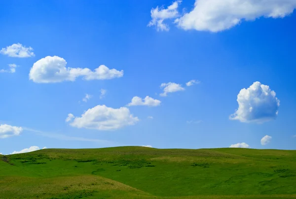 Gras en blauw bewolkte hemel — Stockfoto
