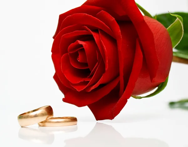 Свадебные кольца и красная роза — стоковое фото