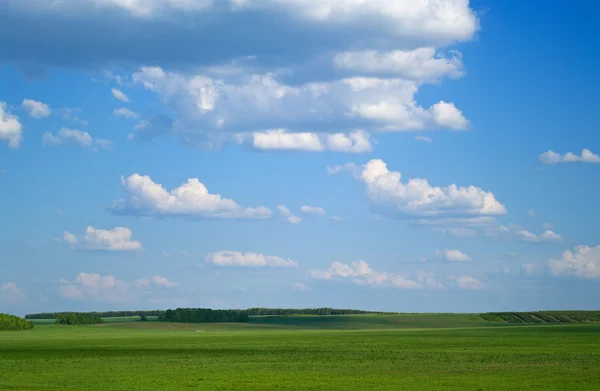 Πεδίο και μπλε συννεφιασμένο ουρανό — Φωτογραφία Αρχείου