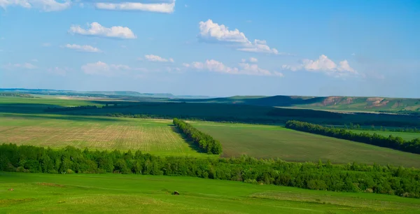 Fält och blå mulen himmel — Stockfoto