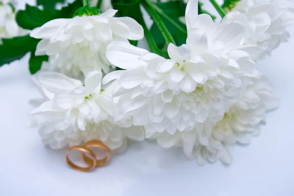 Trauringe und weiße Chrysanthemen — Stockfoto