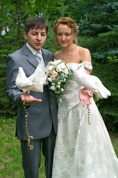 Νύφη και γαμπρός με περιστέρια — Φωτογραφία Αρχείου