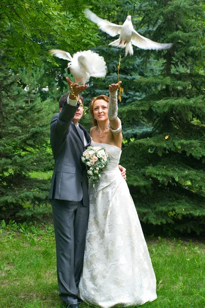 Bride and groom with pigeons — Stock Photo, Image