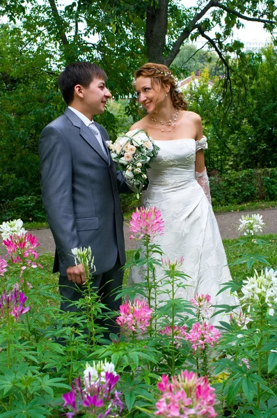 Жених и невеста Лицензионные Стоковые Фото
